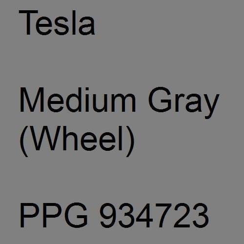 Tesla, Medium Gray (Wheel), PPG 934723.